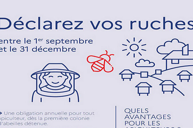 declaration ruches2020 800 448