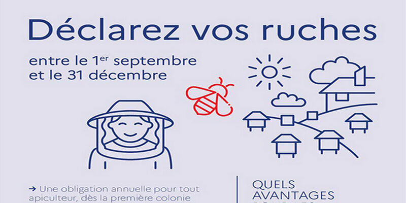 declaration ruches2020 800 448