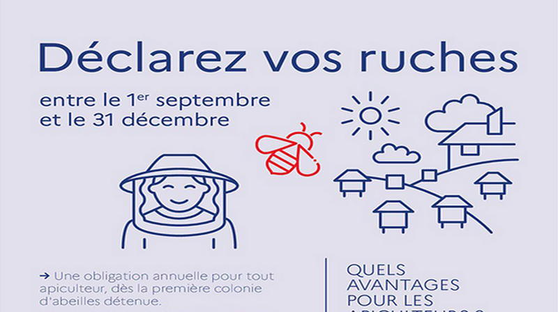 declaration ruches2020 800 448