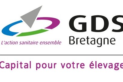 gds bretagne logo accroche2 cr 3