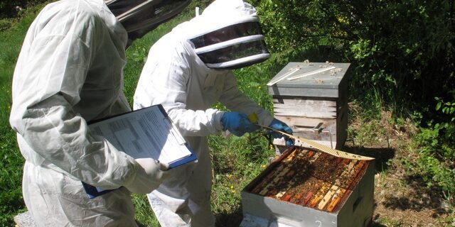 img 6969 cr img 6969 cr