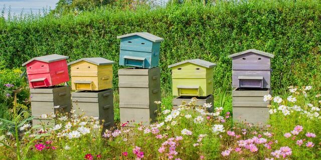 ruches colorees dans un jardin 6107379
