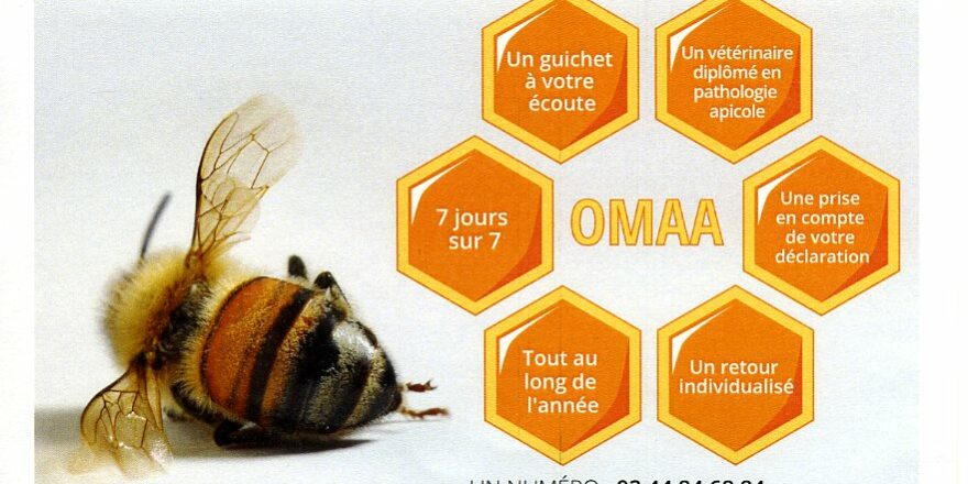 2024 omaa 2024 omaa