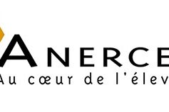 anercea po4syjg4j7p w