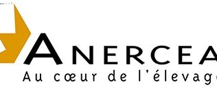 anercea po4syjg4j7p w