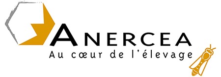 anercea po4syjg4j7p w