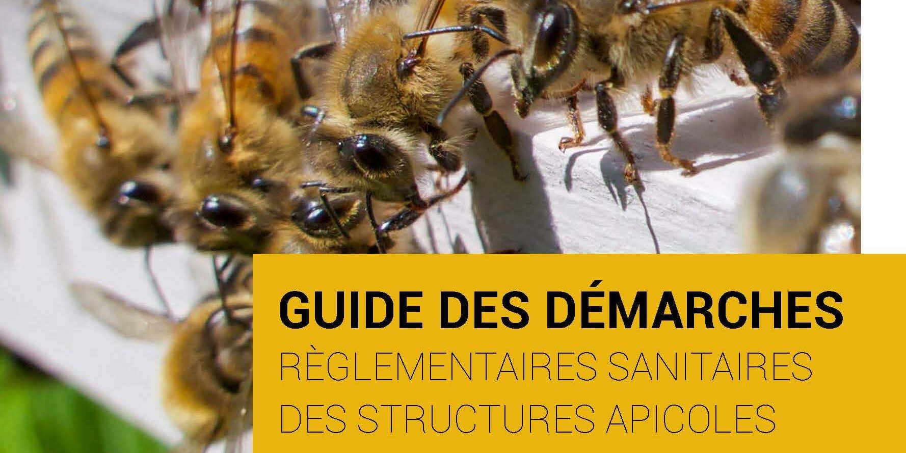 pages de guide des démarches et annuaire 1