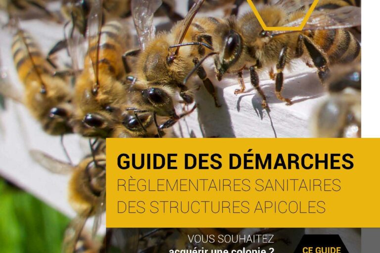 pages de guide des démarches et annuaire 1