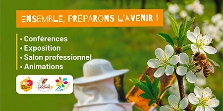 congres api affiche 2