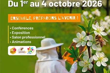 congres api affiche 2
